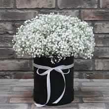 Цветочная композиция из Гипсофила в шляпной коробке #REPLACE_PRED# Железнодорожном Иркутской области