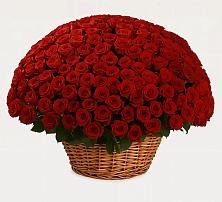 Премиум букет из: Розы в Железнодорожном Иркутской области